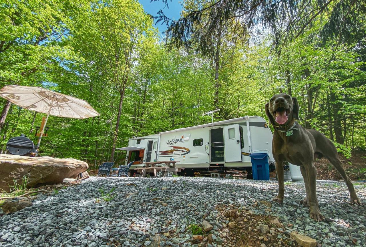 Rv Adventure Roscoe Pet Friendly Hotel Exterior photo